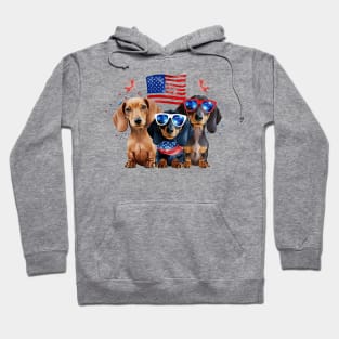 4th of July Dachshund Dogs #2 Hoodie